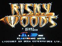 une photo d'Ã©cran de Risky Woods sur Sega Megadrive